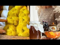 Flashing my yarn stash! House plants! Home brewing Kombucha! Favorite cosmetics! Organic gardening!