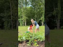 Building a life that suits my nervous system best #homestead #rurallife #nature