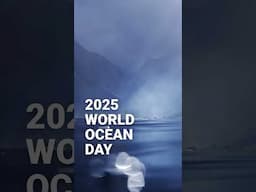 Happy World Ocean Day! 🌊🌊🌊