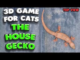 3D game for cats | The house gecko (top view) | 4K, 60 fps, stereo sound