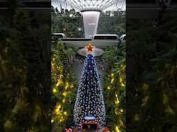 merry Christmas everyone
