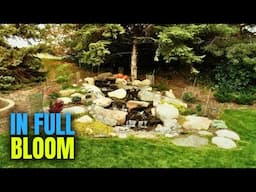 The Beauty of a Seasoned Waterfall