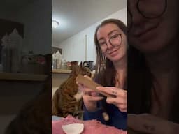 Adorable Cat Interrupts Nail Filing Session