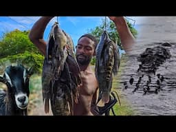 UNBELIEVABLE ADVENTURE WILD GOAT CROCODILE FISH C&C