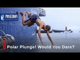 Polar Plunge! Would you dare?