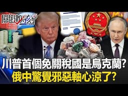 川普首個「免關稅國」是烏克蘭！？ 美烏成「夥伴國」俄中驚覺邪惡軸心涼了！？【關鍵時刻】20250501-4 張炤和 黃世聰 林裕豐 張禹宣 林廷輝