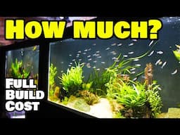 What Does it Cost to Build A Massive Twelve Foot Aquarium