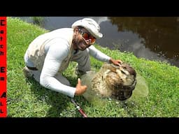 We SAVED a BABY DUCK with SUPER POWERS!
