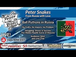 Ball Pythons Behind Russian Borders: Peter Snakes Tells All