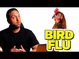The Truth About The Bird Flu In Cats