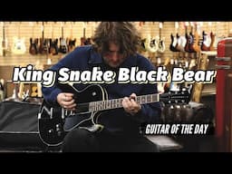 New King Snake Black Bear | Guitar of the Day