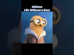 Minions: Life Without a Boss (Shorts) #animation #minions #illumination