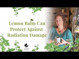 Lemon Balm Benefits Against Radiation