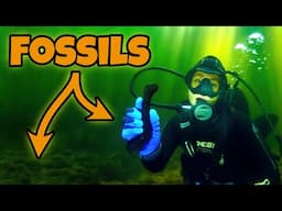 Diving Deep for Prehistory: Fossil Finds in the River