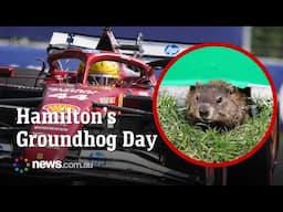 'Devastated' Hamilton's chances ruined by Groundhog