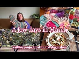 A few days in March: KNITTING projects update and slower days
