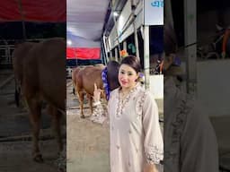 রিতু কোরবানির গরু পেয়ে অনেক খুশি 😍 | Qurbani Cow 2025 #shorts