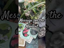 If you’ve been uncomfortable, this is why! #tarot