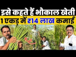सहजन से होगा छप्परफाड़ PROFIT🌿💰Moringa Farming की A to Z जानकारी💯🔥Indian Farmer
