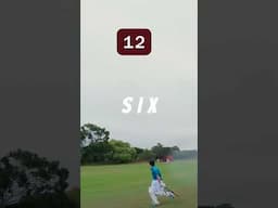 A QUICK FIRE 20! #cricket #goprocricket #cricketlover #villagecricket #batting #T20 #six #fyp #bat