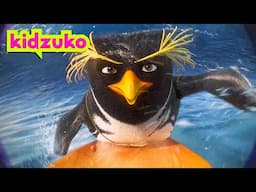 🌊 This is Paradise Surfing! 🏄‍♂️ | Surf's Up | Compilation | @Kidzuko