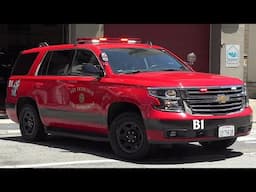[San Francisco] Battalion 1 SFFD