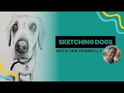 Inside Ian Fennelly's Dog Sketchbook | Art Flip Through