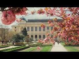 Springtime in the Jardin des Plantes - Paris Live #144