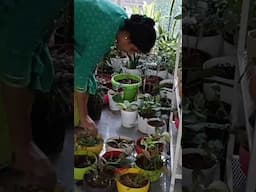 Balcony garden setup(watch full video  on my channel)