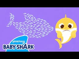 ✨Where is the Spectacular Sardine Show? | Baby Shark Brooklyn Animation Song | Baby Shark Official