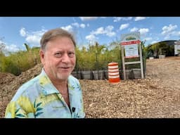 NEW NORTHERN CALIFORNIA TROPICAL FRUIT TREE NURSERY - HUGE MANGO, AVOCADO, GUAVA, EXOTIC FRUIT TREES