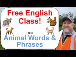 Let's Learn English! Topic: Animal Inspired Words & Phrases! 🐿️🐀🐈
