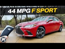 Sporty, Luxurious, & Efficient | Lexus ES 300h F Sport Handling