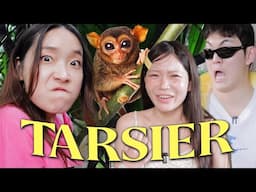 Koreans' Ultimate BOHOL Trip! You can't miss Tarsiers..🥹🙊🌴