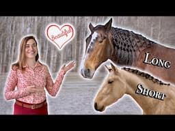 Horse Makeover - Messy Manes to Stunning Braids!
