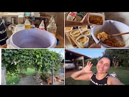✨Diário de ROTINA na ROÇA | COMO ESTÁ MINHA SAÚDE | ARRUMEI A CASA E FIZ SABÃO 🧼 VEJA O FINAL 😭