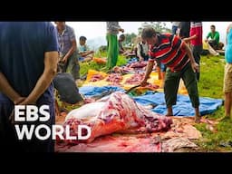 Once a Year, Water Buffalo Meat Is Permitted: Nepal’s Dashain Festival 🐃🕌 #PICKDOCU