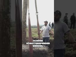 Schatten für Metalheads 🤘Nur mit Experten können große Projekte umgesetzt werden. Firma Heumann! ❤️