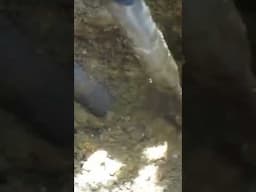 bomb found with box of treasure