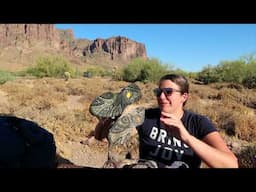 1000 Mile Review: Merrell Hiking Shoes