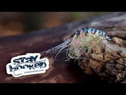 Ahrex - Pro Gammarus - by Jesper Lindquist Andersen