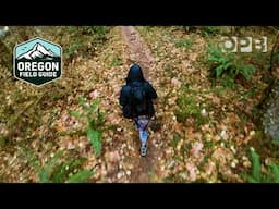 Oregon group invites unlikely hikers to enjoy the outdoors | Oregon Field Guide