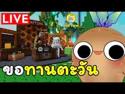 [🔴Live] ขอทานตะวันหน่อย [Grow a Garden- Roblox]