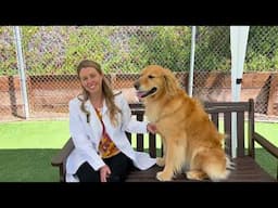 Get To Know Dr. Taylor Applegate