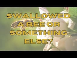 DID HE REALLY SWALLOW A BEE? WAS THIS A COVERT MESSAGE FOR WILLIAM?  (WHY HE'S NOT PLAYING POLO?)