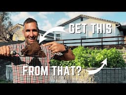 🌱 How to Use Cover Crops for AMAZING Soil: The Complete Beginner’s Guide 🌱