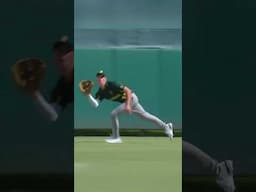 🇿🇦🛬 South African Airways | Louis Albertyn at the WBSC U-18 Baseball World Cup 2022!