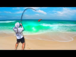 I Found the PERFECT Beach Spot!! *Unexpected Catch*