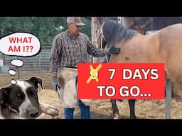 I Wasn’t Expecting This Today… 9 Days Before Blake’s Return! 😳