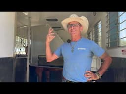 Halter choice while trailering